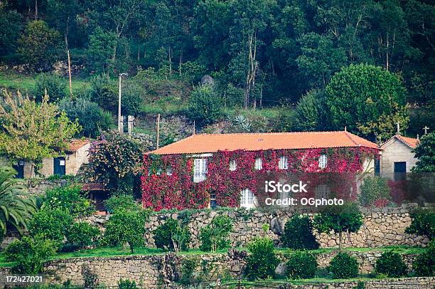 Casa Coberto Com O Vermelho Hera No Outono - Fotografias de stock e mais imagens de Ajardinado - Ajardinado, Antigo, Ao Ar Livre