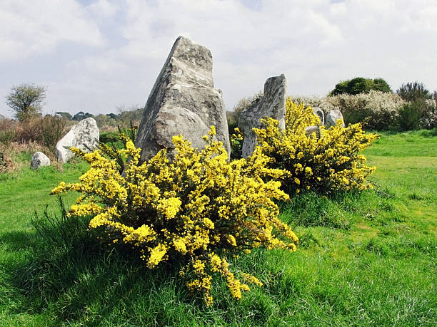 Carnac the standing stones at carnac brittany stone age stock pictures, royalty-free photos & images