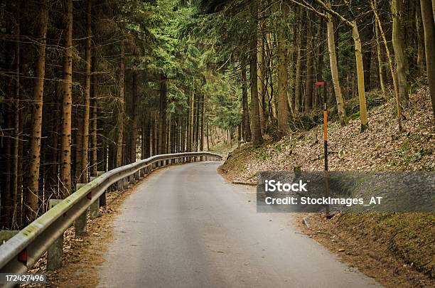 Lonesome Kraju Droga Przez Las - zdjęcia stockowe i więcej obrazów Arteria - Arteria, Asfalt, Austria