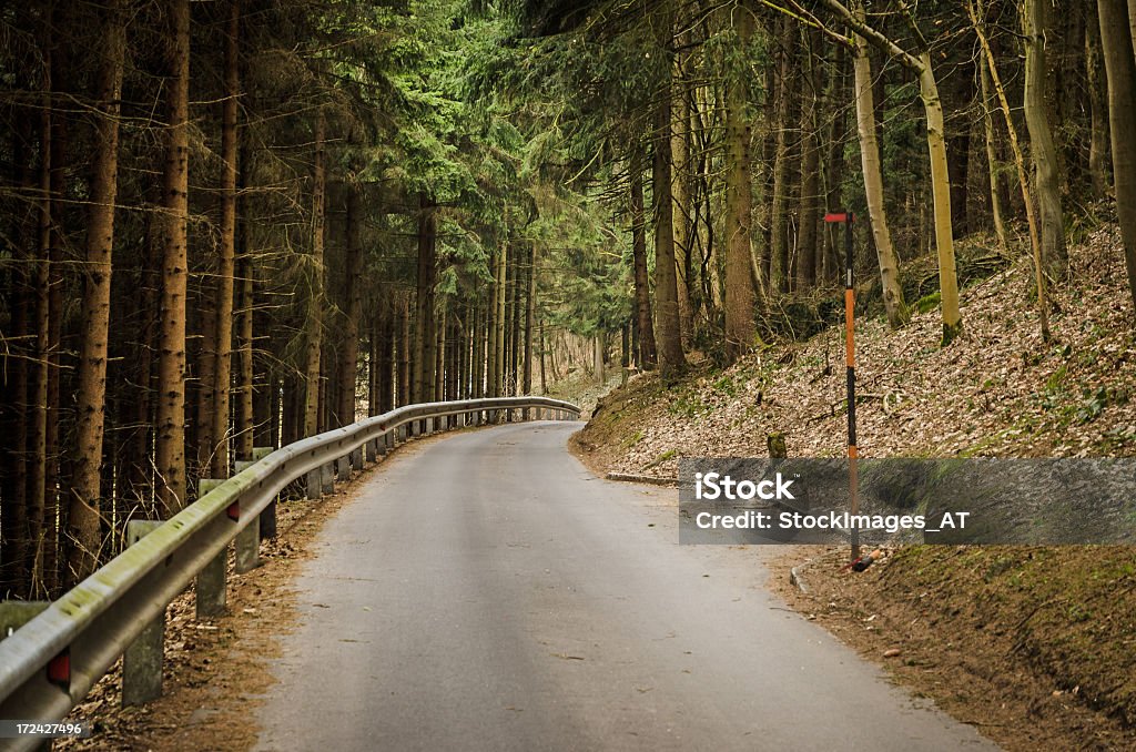 País Lonesome Estrada através de uma floresta. - Royalty-free Alfalto Foto de stock