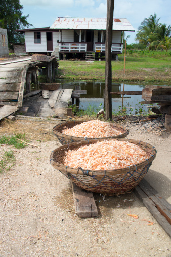 Two baskets filled with dried shrimps in front of a traditional house on a plantation.