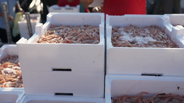 Fishermen unloading shrimps boxes from fishing boat