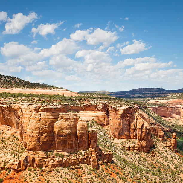 istock Ute Canyon - Colorado National Monument 172427753