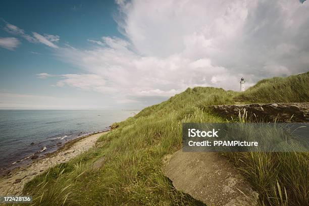 Farol De Dunas - Fotografias de stock e mais imagens de Alto - Descrição Física - Alto - Descrição Física, Ammophila breviligulata, Ao Ar Livre