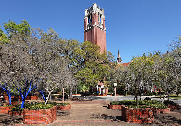istock University of Florida 172428191
