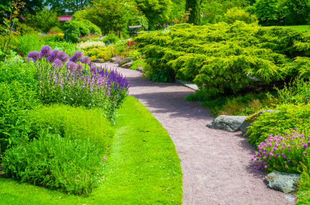 istock Footpath in lovely garden 172428282