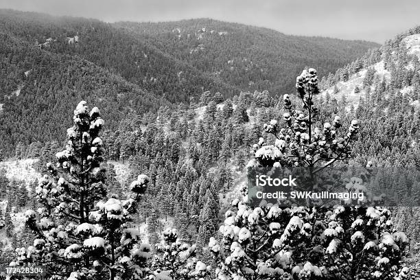 Neve Pesadaweather Forecast - Fotografias de stock e mais imagens de Ao Ar Livre - Ao Ar Livre, Beleza natural, Colorado