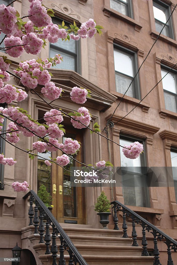 brownstones en flor - Foto de stock de Acera libre de derechos