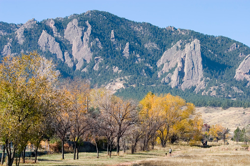 Dog walking his man on a beautiful autumn day in Boulder Colorado.