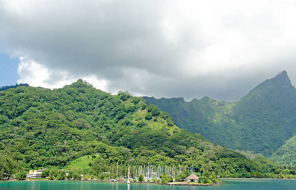 istock Moorea Marina and Mountains 172428929