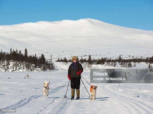 Photo libre de droit de Ski Femme Avec Ses Chiens Dans Les Montagnes De Norvège banque d'images et plus d'images libres de droit de Activité de loisirs