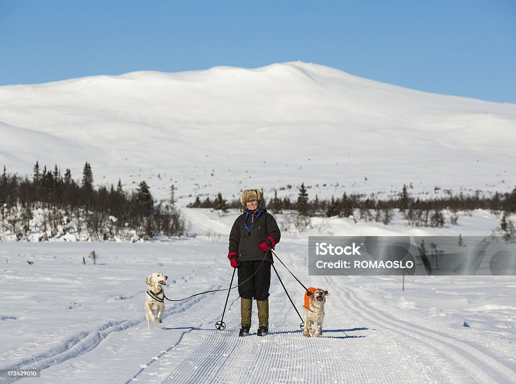 女性のスキー場には犬には、山々、ノルウェー - 30代の女性のロイヤリティフリーストックフォト