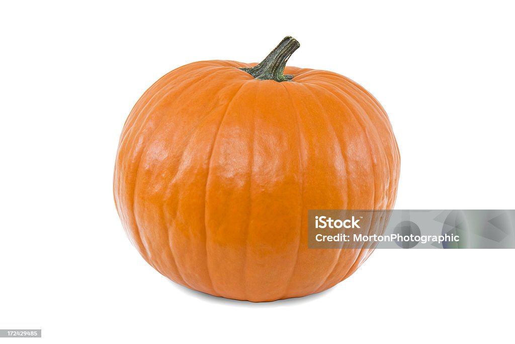 The Perfect Pumpkin: White Background "Nice, round, vivid orange pumpkin--this thing is perfect! It wasn't when I baught it, but then again that is what computers are for. I cut the pumpkin out from it's background and have it posted here on iStock with both black and white backgrounds. You can easily cut it out yourself to place it on your own background, or use it as is. It also makes a great Jack-O-Lantern, but the design is up to you! Canon 30D, 17-55mm lens, 3 off-camera flashes." Blank Stock Photo