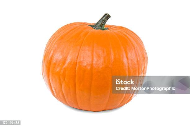 The Perfect Pumpkin White Background Stock Photo - Download Image Now - Blank, Bright, Celebration Event