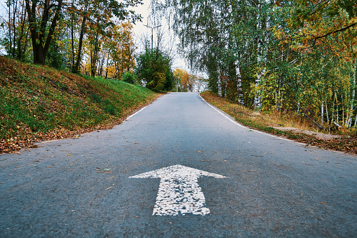 White arrow sign on asphalt road in autumn forest with fallen leaves