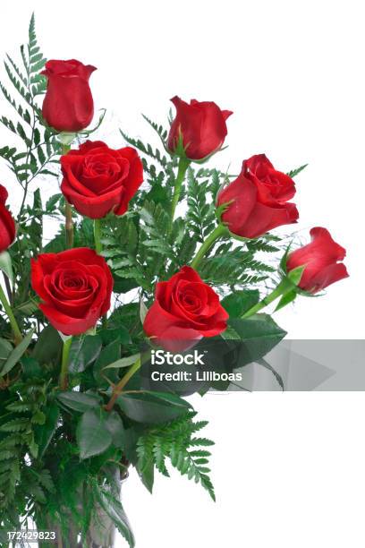 赤いバラxl - 植物 バラのストックフォトや画像を多数ご用意 - 植物 バラ, 赤, 12本のバラ