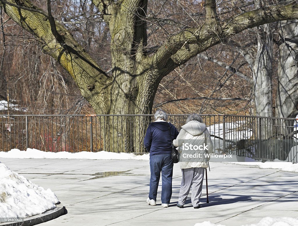 母と娘ゆっくり歩く - 60代のロイヤリティフリーストックフォト
