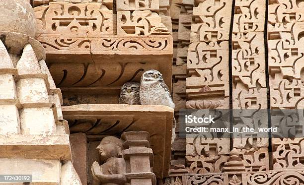 Bubo Owlets Khajuraho - Fotografias de stock e mais imagens de Animal - Animal, Arenito, Coruja - Ave de Rapina