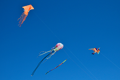 Photograph of kites dancing  on the breeze. Taken  on Sunday  4th June 2023, Victoria, British  Columbia.