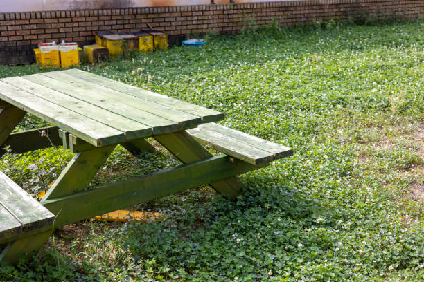 istock A green bench table in the clover garden 1724305916