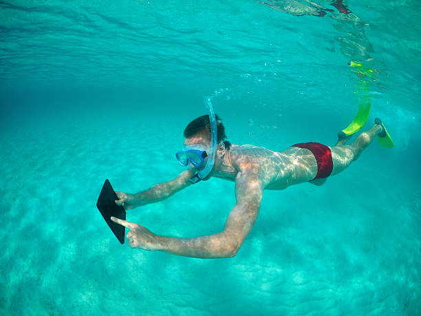 istock Young man swimming underwater with tablet 172430643