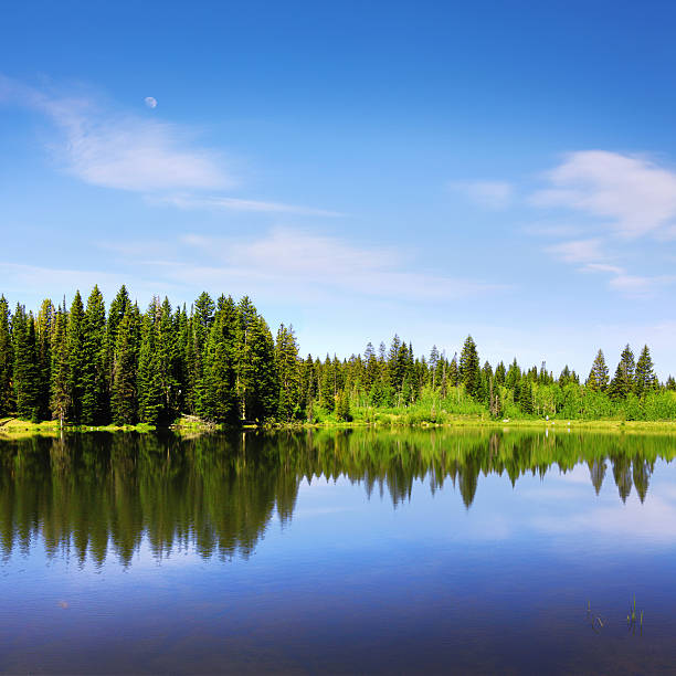 Grand Mesa is the largest flat top mountain in the world and almost completely covered in the Grand Mesa National Forest. The top of the mesa is dotted with various lakes and ponds.