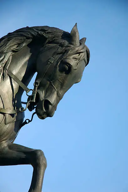Photo of Bronze Sculpture of Horse Blue Sky