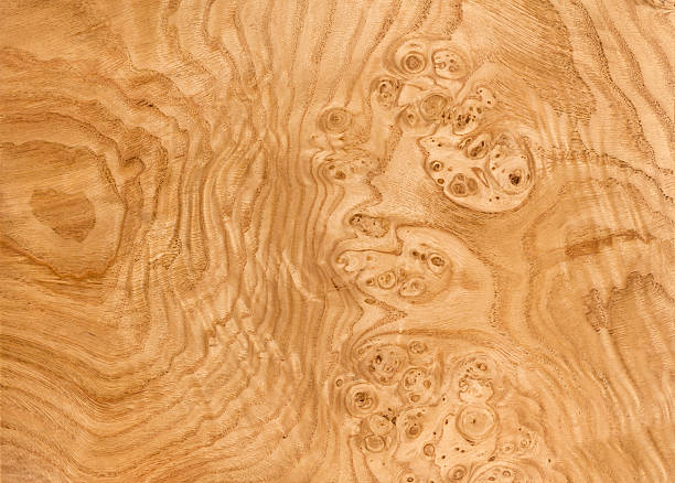 Chestnut Burl fondo veta de madera - foto de stock