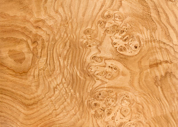 Chestnut Burl Wood Grain Background