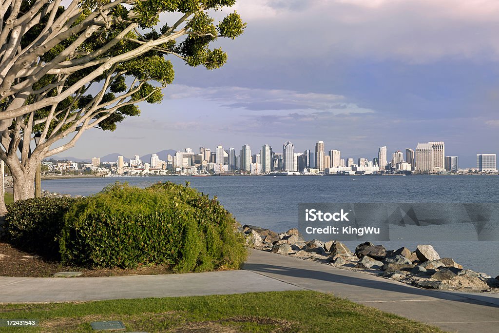 Vista dello Skyline di San Diego - Foto stock royalty-free di Albero