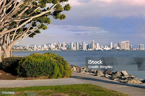 Vista Dello Skyline Di San Diego - Fotografie stock e altre immagini di Albero - Albero, Ambientazione esterna, Baia