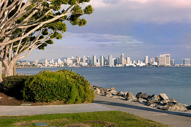 горизонт сан-диего с видом на водную гладь - san diego bay san diego california skyline waterfront стоковые фото и изображения