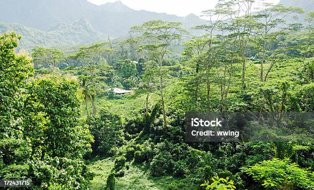 Foto de Farm Na Ilha De Moorea e mais fotos de stock de Agricultura - Agricultura, Casa, Cultura polinésia