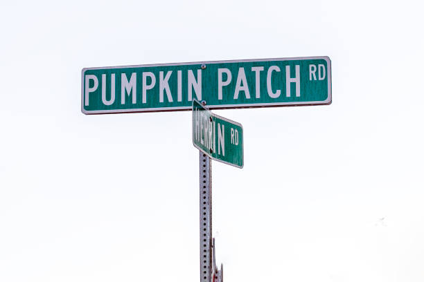 istock street sign 1724317703