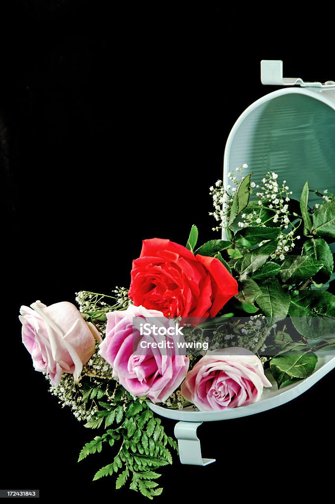 Blanco buzón con rosas - Foto de stock de Blanco - Color libre de derechos