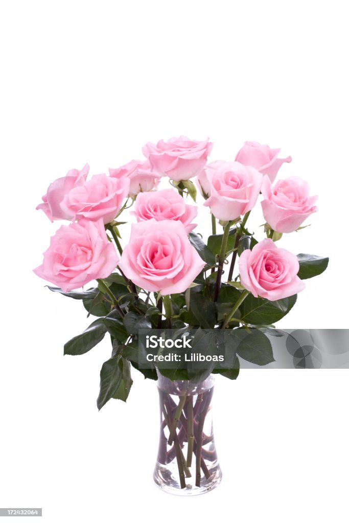 Pink Roses (XL - Стоковые фото Букет роялти-фри