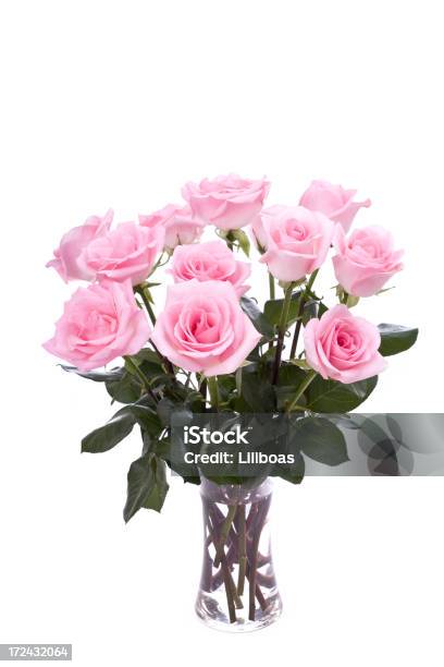 Pink Roses Xl — стоковые фотографии и другие картинки Букет - Букет, Роза, Розовый