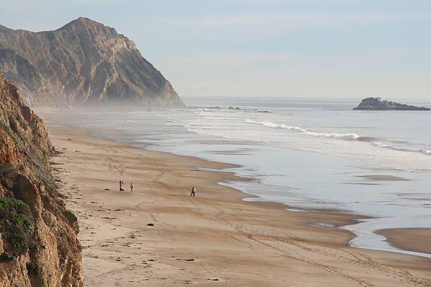 ヤマネコビーチ - point reyes national seashore northern california beach california ストックフォトと画像