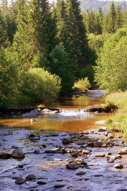 istock beautiful river in Apuseni Natural Park 1724322781