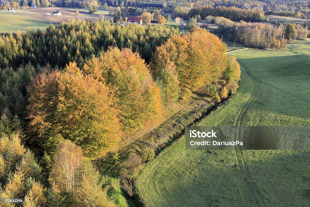 photo aérienne de la forêt. L'automne - Photo de Agriculture libre de droits