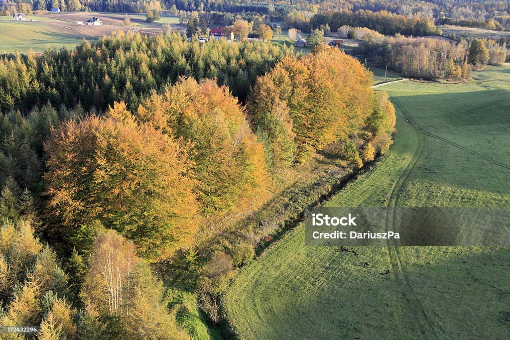 Foto aérea de florestas. Outono - Foto de stock de Acima royalty-free