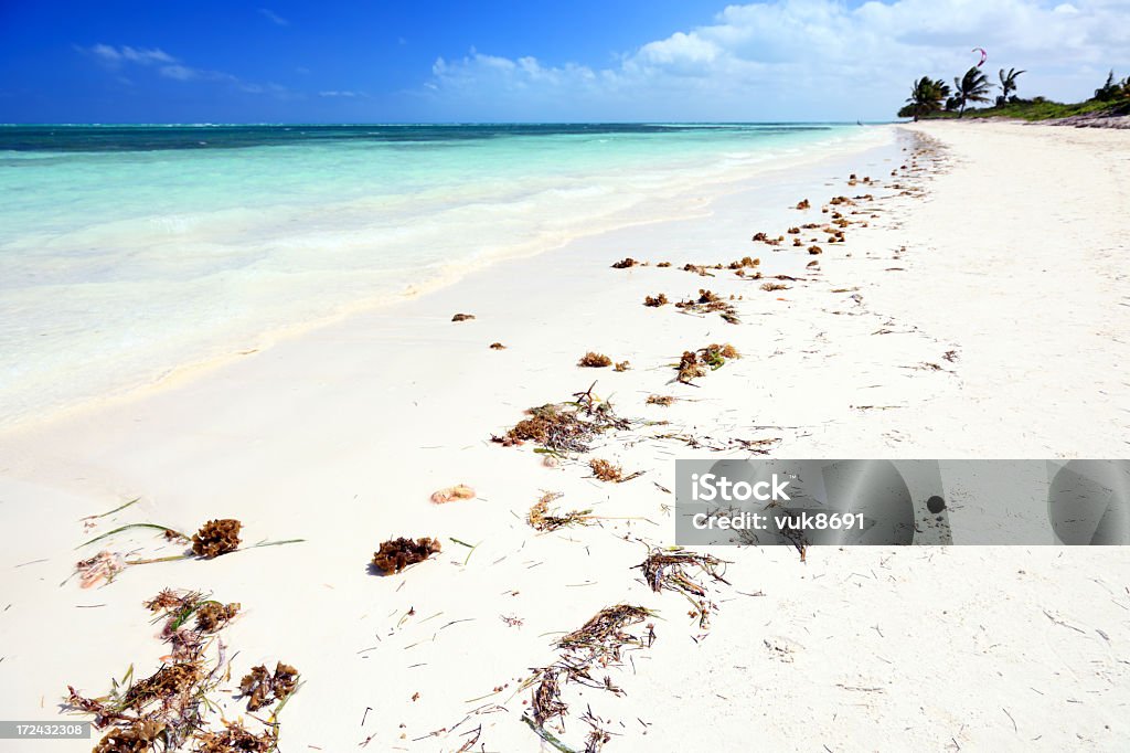 Pilar Beach - Foto de stock de Agua libre de derechos