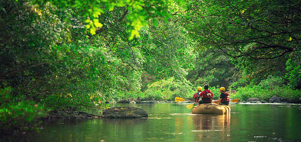 rafting in costa rica a moment of calm in the river during a rafting adventure in costa rica. rafting stock pictures, royalty-free photos & images