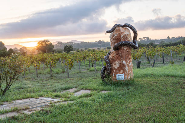 the vineyards of Clos de Vugeot.  Wine with the help of God in Burgundy