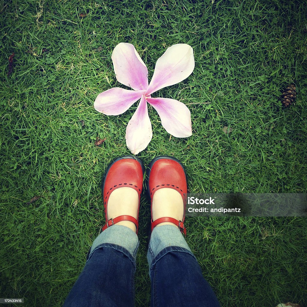 Schuhe und eine Blume - Lizenzfrei Rot Stock-Foto