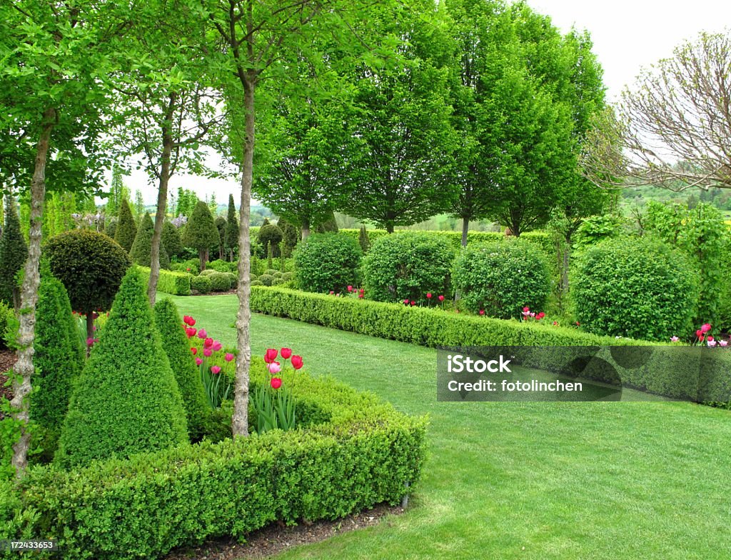 Schönen Garten im Frühling - Lizenzfrei Buchsbaum Stock-Foto