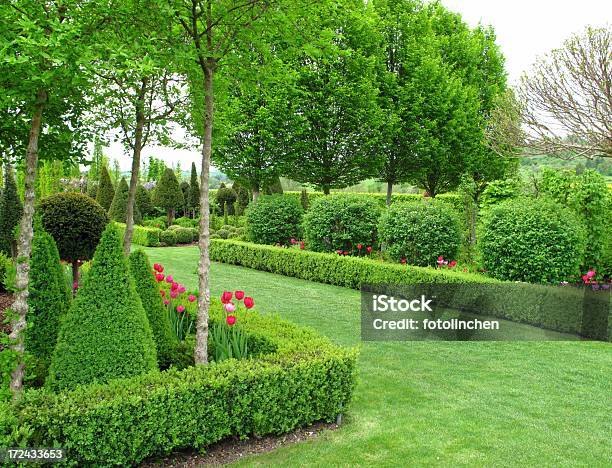 Schönen Garten Im Frühling Stockfoto und mehr Bilder von Buchsbaum - Buchsbaum, Hausgarten, Hecke