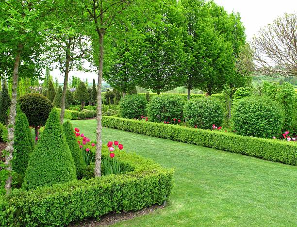 istock Wonderful garden in springtime 172433653