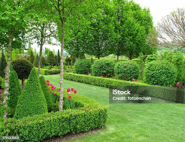 Maravilhosa Jardim Na Primavera - Fotografias de stock e mais imagens de Buxo - Buxo, Jardim Particular, Sebe