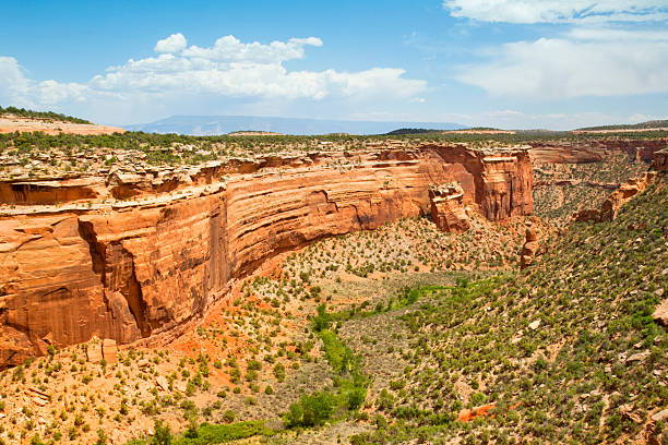 istock Fallen Rock in Ute Canyon - Colorado National Monument 172433703